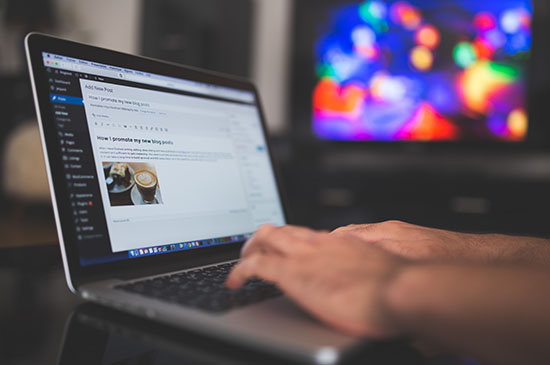 Wordpress website design company